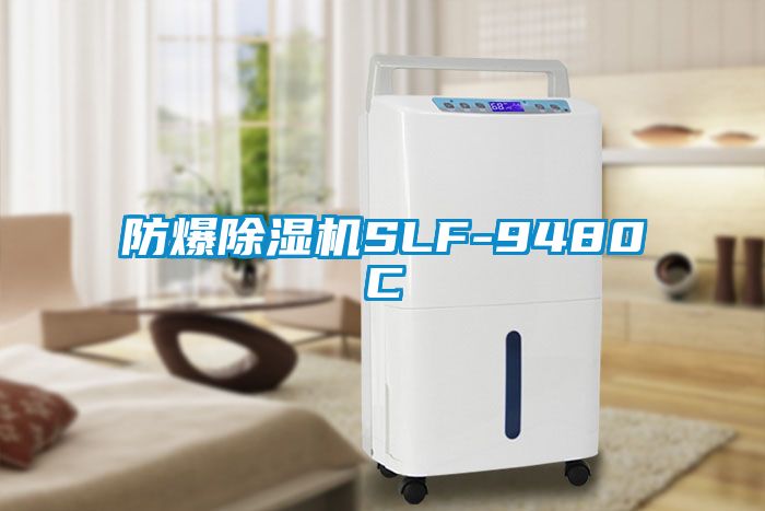 防爆91看片网站视频機SLF-9480C