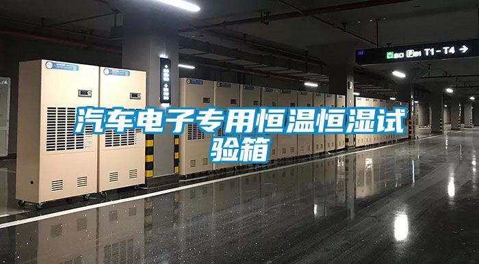 汽車電子專用恒溫恒濕試驗箱