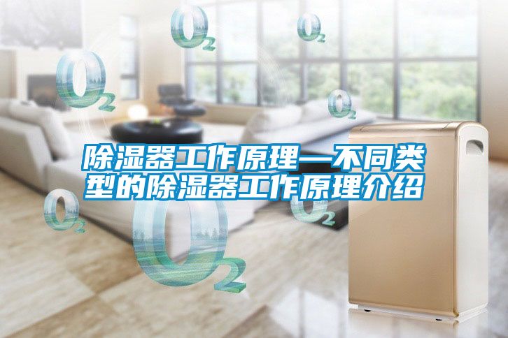 91看片网站视频器工作原理—不同類型的91看片网站视频器工作原理介紹