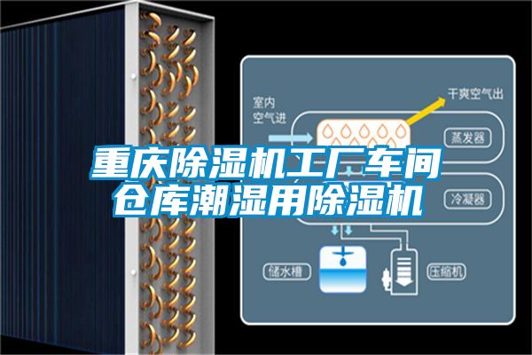 重慶91看片网站视频機工廠車間倉庫潮濕用91看片网站视频機