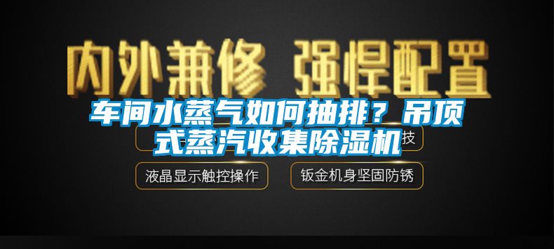 車間水蒸氣如何抽排？吊頂式蒸汽收集91看片网站视频機