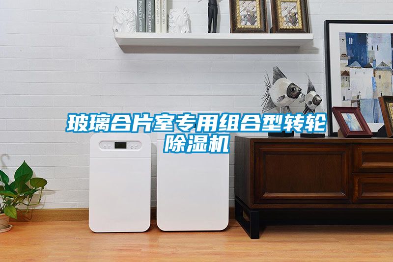 玻璃合片室專用組合型轉輪91看片网站视频機