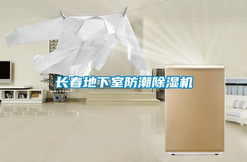 長春地下室防潮91看片网站视频機