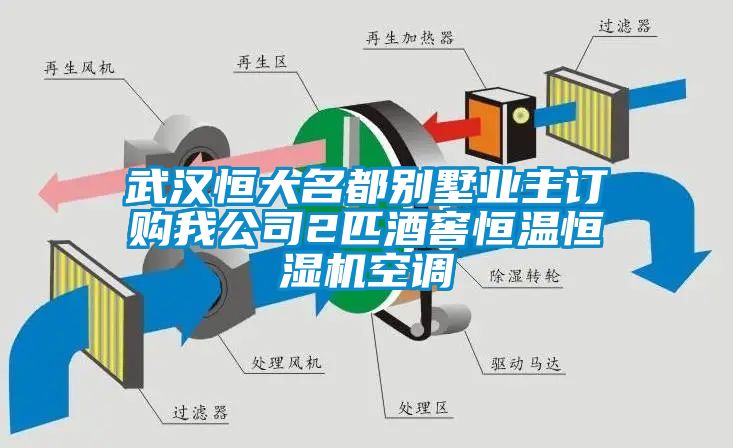 武漢恒大名都別墅業主訂購我公司2匹酒窖恒溫恒濕機空調