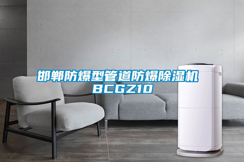 邯鄲防爆型管道防爆91看片网站视频機 BCGZ10
