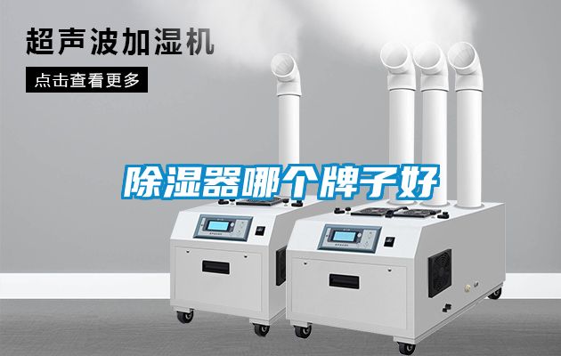 91看片网站视频器哪個牌子好