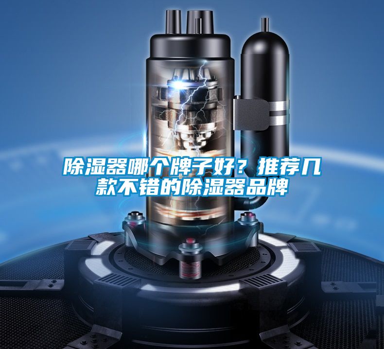 91看片网站视频器哪個牌子好？推薦幾款不錯的91看片网站视频器品牌