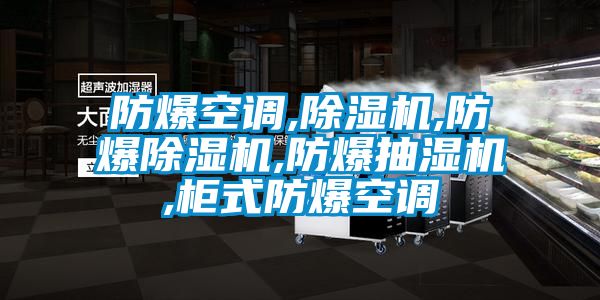 防爆空調,91看片网站视频機,防爆91看片网站视频機,防爆抽濕機,櫃式防爆空調