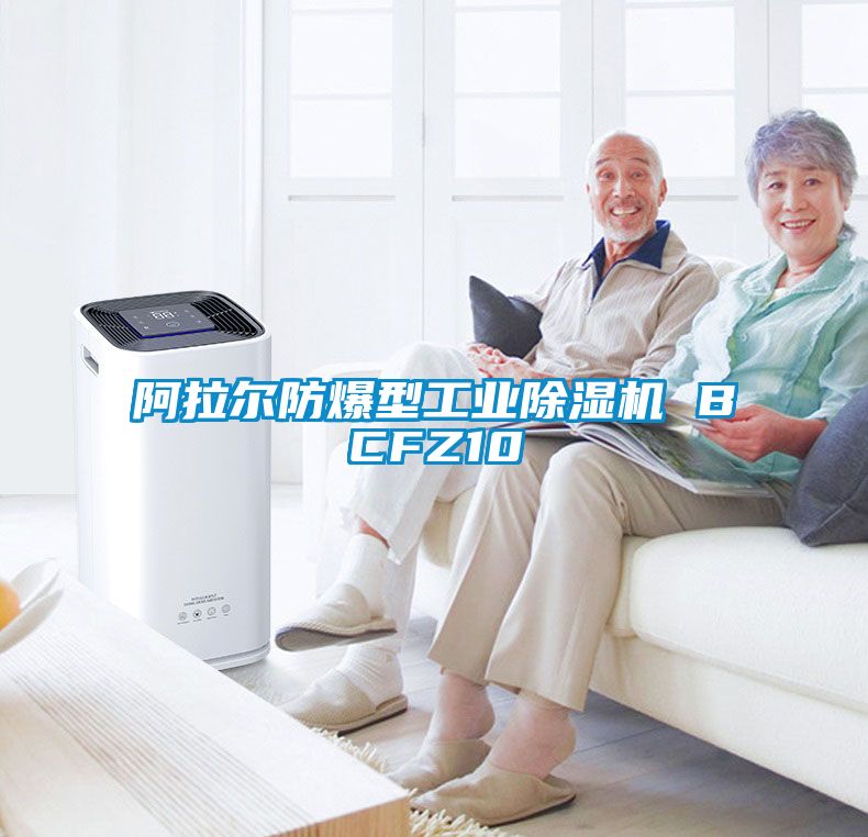 阿拉爾防爆型工業91看片网站视频機 BCFZ10