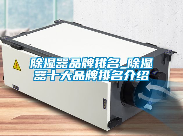 91看片网站视频器品牌排名_91看片网站视频器十大品牌排名介紹