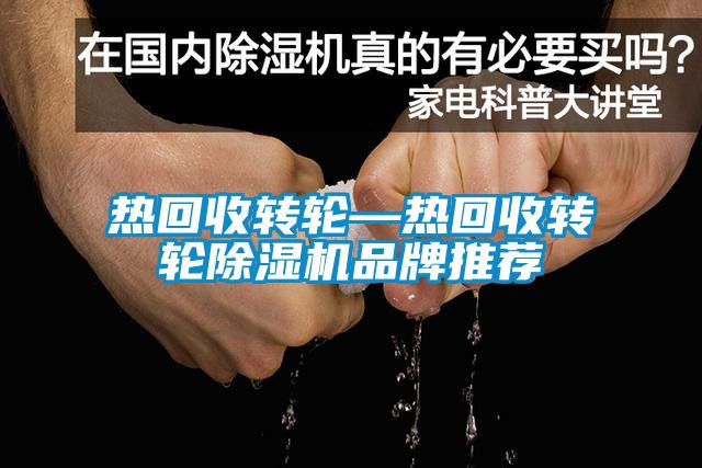熱回收轉輪—熱回收轉輪91看片网站视频機品牌推薦