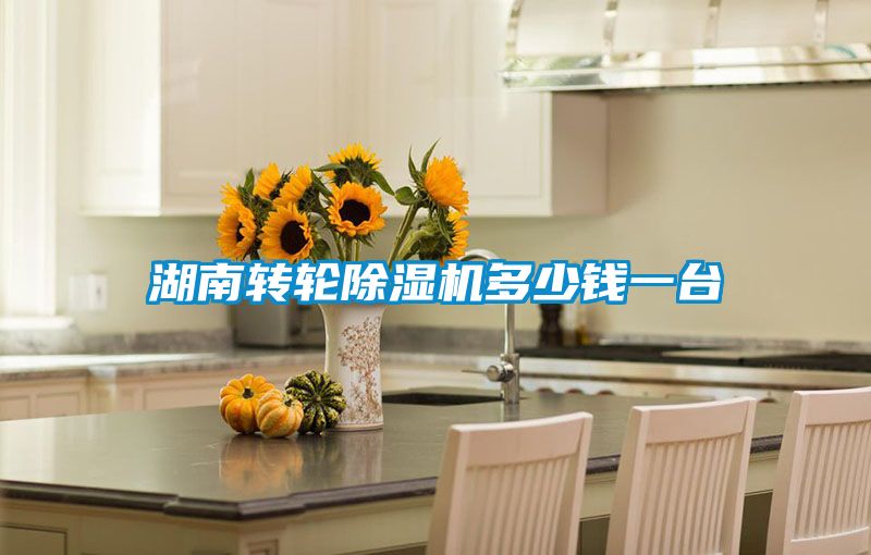 湖南轉輪91看片网站视频機多少錢一台