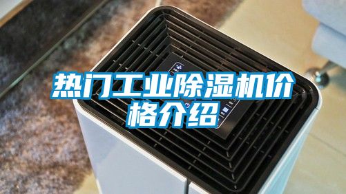 熱門工業91看片网站视频機價格介紹