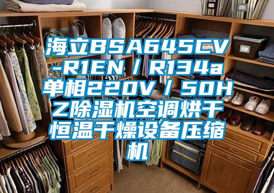 海立BSA645CV-R1EN／R134a單相220V／50HZ91看片网站视频機空調烘幹恒溫幹燥設備壓縮機