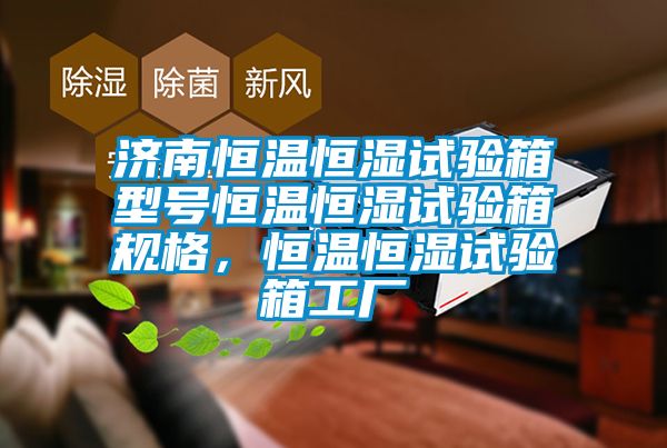 濟南恒溫恒濕試驗箱型號恒溫恒濕試驗箱規格，恒溫恒濕試驗箱工廠