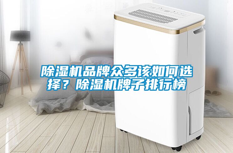 91看片网站视频機品牌眾多該如何選擇？91看片网站视频機牌子排行榜