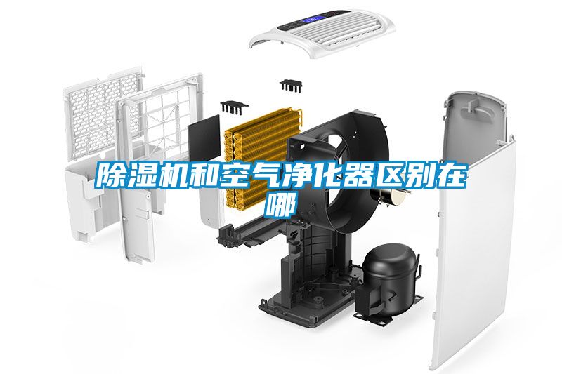 91看片网站视频機和空氣淨化器區別在哪