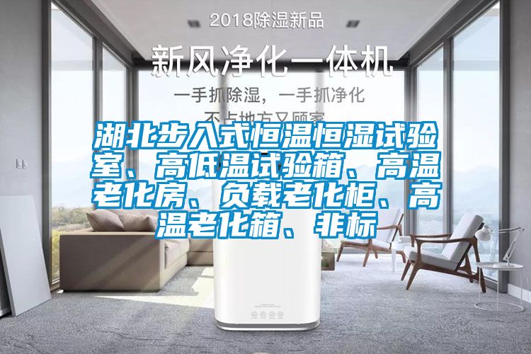 湖北步入式恒溫恒濕試驗室、高低溫試驗箱、高溫老化房、負載老化櫃、高溫老化箱、非標