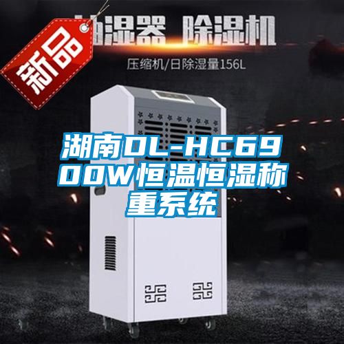 湖南DL-HC6900W恒溫恒濕稱重係統