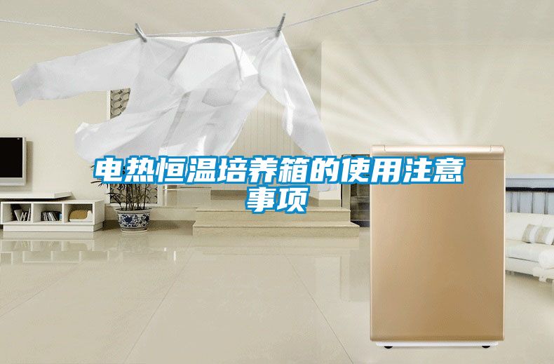電熱恒溫培養箱的使用注意事項