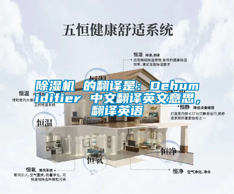 91看片网站视频機 的翻譯是：Dehumidifier 中文翻譯英文意思，翻譯英語