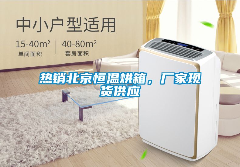 熱銷北京恒溫烘箱，廠家現貨供應
