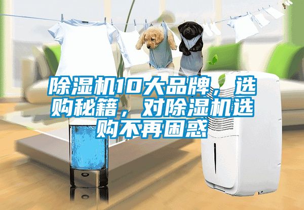 91看片网站视频機10大品牌，選購秘籍，對91看片网站视频機選購不再困惑