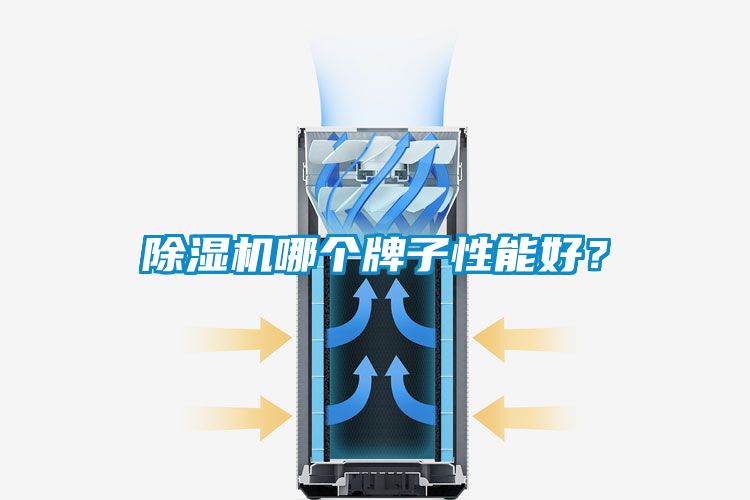 91看片网站视频機哪個牌子性能好？
