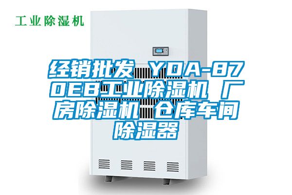 經銷批發 YDA-870EB工業91看片网站视频機 廠房91看片网站视频機 倉庫車間91看片网站视频器