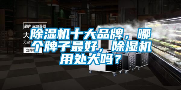 91看片网站视频機十大品牌，哪個牌子最好，91看片网站视频機用處大嗎？