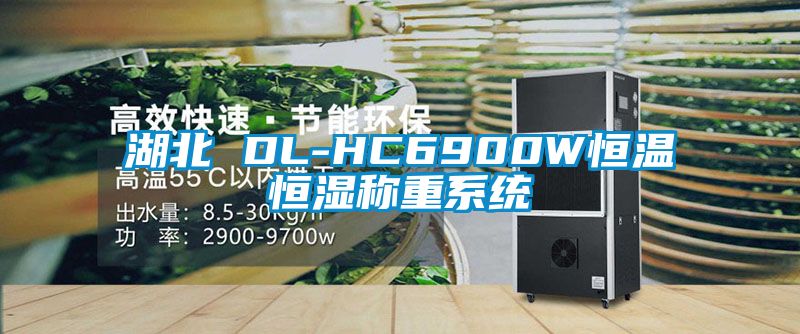 湖北 DL-HC6900W恒溫恒濕稱重係統