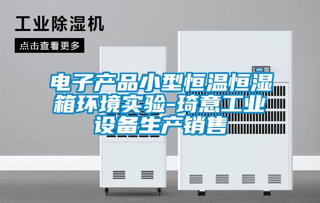 電子產品小型恒溫恒濕箱環境實驗-琦意工業設備生產銷售