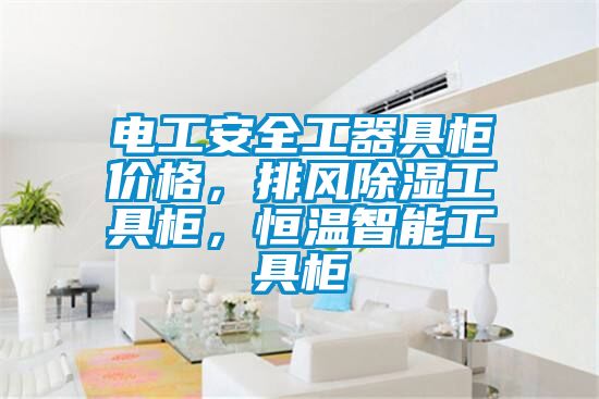 電工安全工器具櫃價格，排風91看片网站视频工具櫃，恒溫智能工具櫃