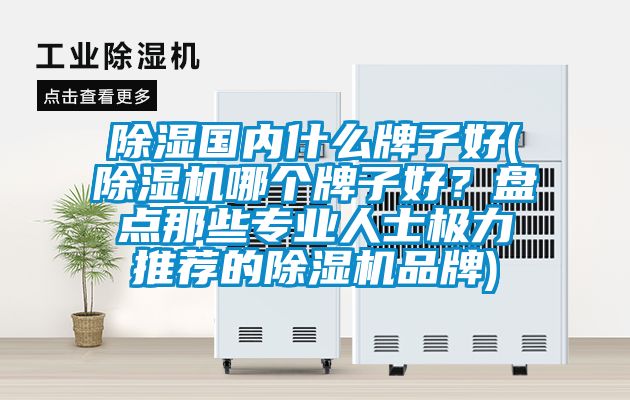 91看片网站视频國內什麽牌子好(91看片网站视频機哪個牌子好？盤點那些專業人士極力推薦的91看片网站视频機品牌)