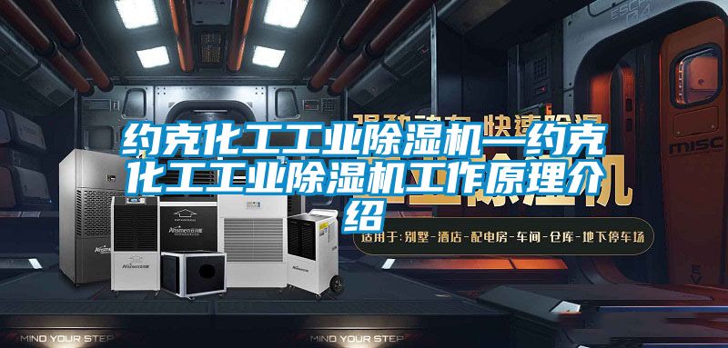 約克化工工業91看片网站视频機—約克化工工業91看片网站视频機工作原理介紹
