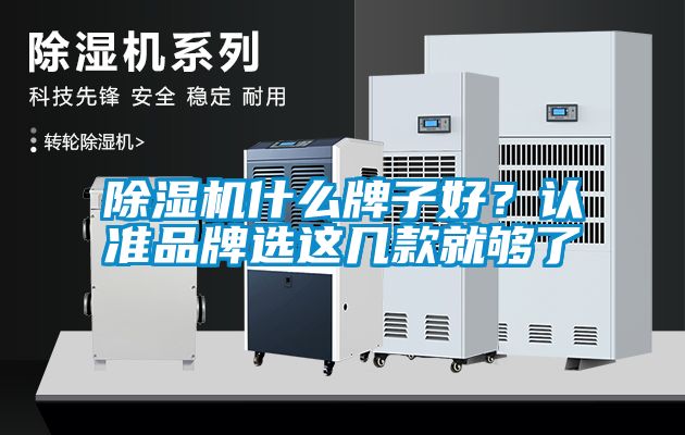 91看片网站视频機什麽牌子好？認準品牌選這幾款就夠了