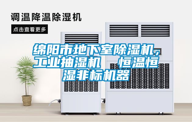 綿陽市地下室91看片网站视频機，工業抽濕機  恒溫恒濕非標機器