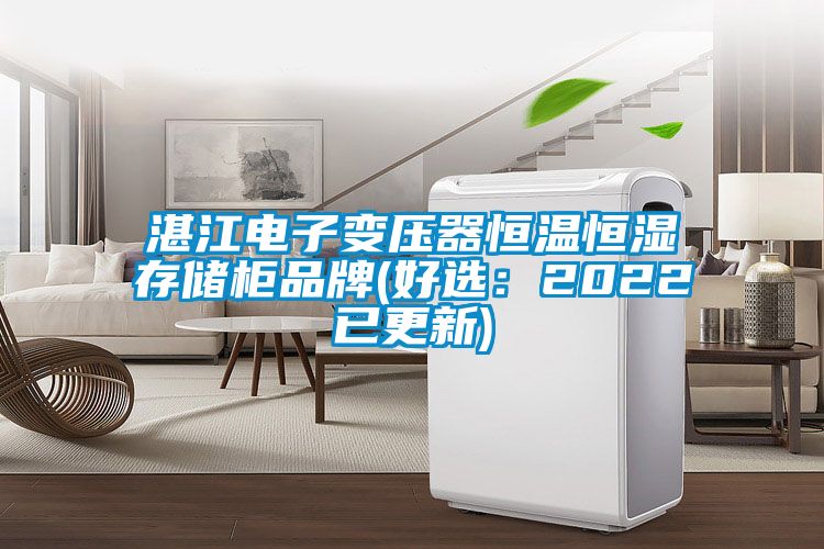 湛江電子變壓器恒溫恒濕存儲櫃品牌(好選：2022已更新)