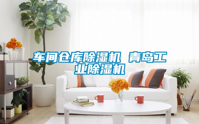 車間倉庫91看片网站视频機 青島工業91看片网站视频機