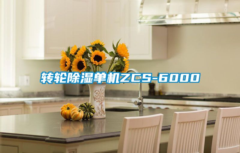 轉輪91看片网站视频單機ZCS-6000
