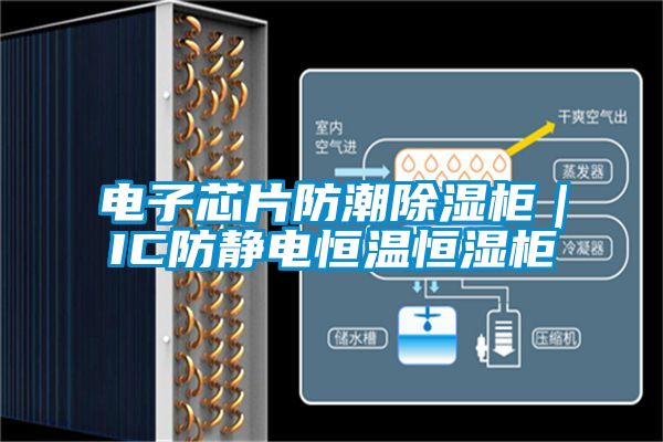 電子芯片防潮91看片网站视频櫃｜IC防靜電恒溫恒濕櫃