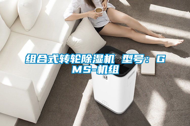 組合式轉輪91看片网站视频機 型號：GMS-機組