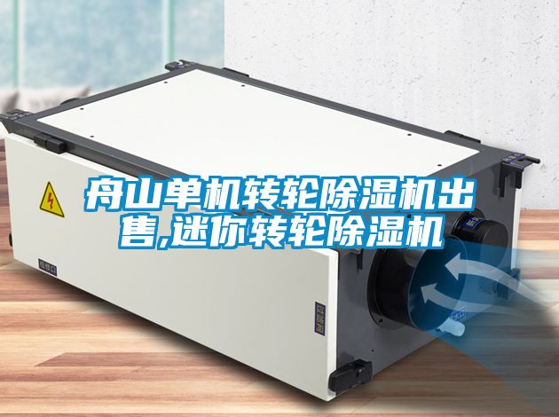 舟山單機轉輪91看片网站视频機出售,迷你轉輪91看片网站视频機