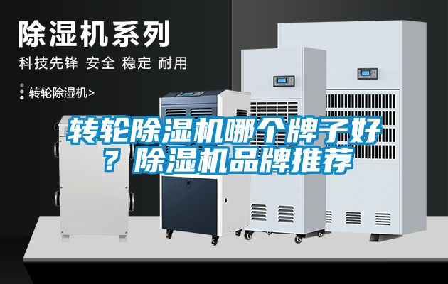 轉輪91看片网站视频機哪個牌子好？91看片网站视频機品牌推薦