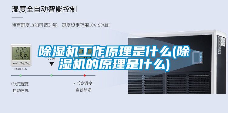 91看片网站视频機工作原理是什麽(91看片网站视频機的原理是什麽)