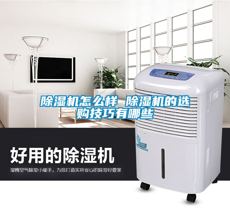 91看片网站视频機怎麽樣 91看片网站视频機的選購技巧有哪些