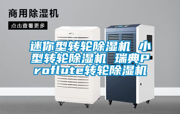 迷你型轉輪91看片网站视频機 小型轉輪91看片网站视频機 瑞典Proflute轉輪91看片网站视频機