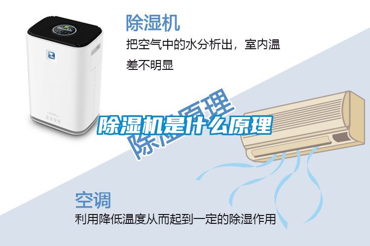 91看片网站视频機是什麽原理
