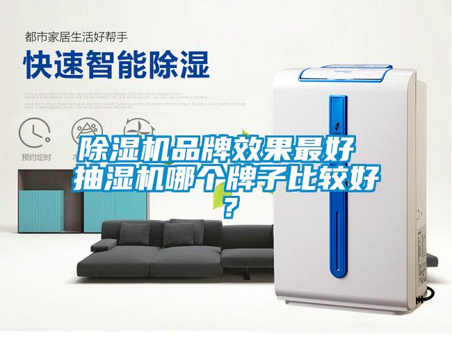 91看片网站视频機品牌效果最好 抽濕機哪個牌子比較好？