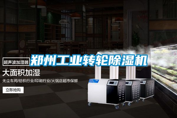 鄭州工業轉輪91看片网站视频機